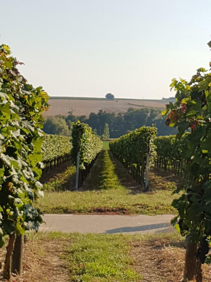 Weingut & Gaestehaus Nagel 카펠렌-드루스와일러 외부 사진